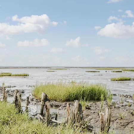Amazing In With Wifi Prázdninový dům *
