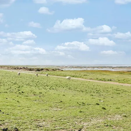 Prázdninový dům Amazing In With Wifi Højer