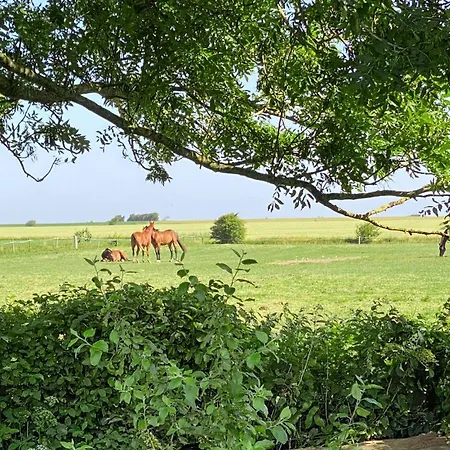 Holiday home Amazing In With Wifi *