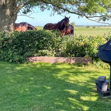 Amazing In With Wifi Prázdninový dům